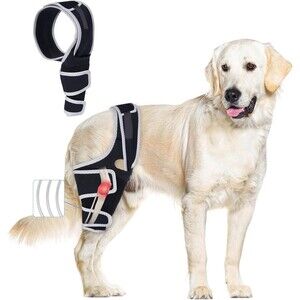 Dog Knee Braces for Back Leg Knee Brace for Torn ACL Hind Leg or Front Sz Large